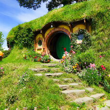 Hobbiton NZ