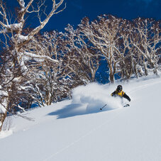 Skieur sur piste 
