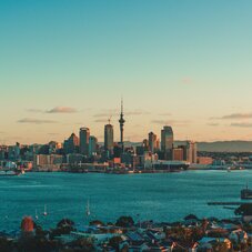 Auckland city