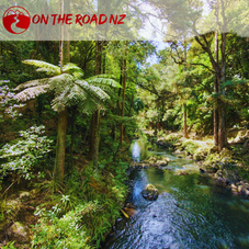 Deux semaines sur l'île du Nord