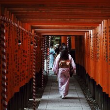 Portes Torii du sanctuaire Fushimi Inari à Kyoto 