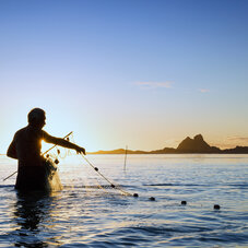 homme qui fait de la pêche au filet 
