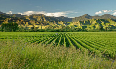 MARLBOROUGH NZ MARLBOROUGH NZ