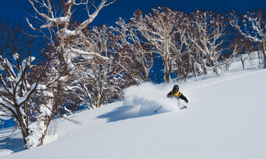 Skieur sur piste Japon Skieur sur piste