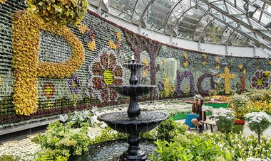 Royal botanic gardens SYD