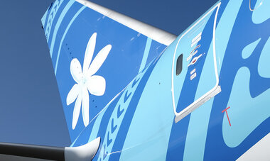 queue de l&#039;appareil avec la tiare air tahiti nui