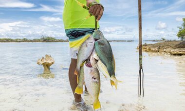 Pêcheur revenant de la pêche avec du poisson frais