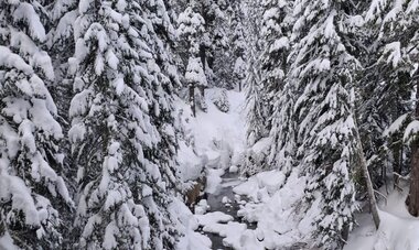 Seattle Snoqualmie Alpental
