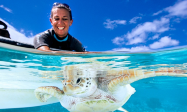 Te Mana O Te Moana tortue tortue relachee à l'ocean par l'association Te Mana O te Moana