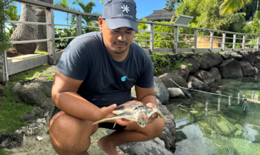 Te Mana O Te Moana Air Tahiti Nui Clinique des tortues Te Mana O te Moana