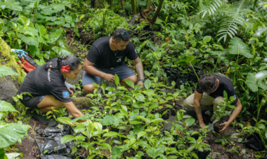 SOP Manu : L'équipe L'équipe SOP Manu en restauration d'habitat
