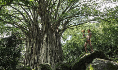 homme se tenant devant un arbre 