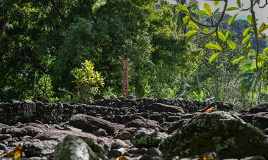 Photo du marae Arahurahu
