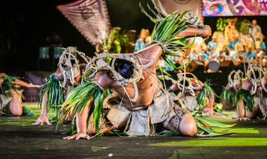 danseur de 'ori tahiti