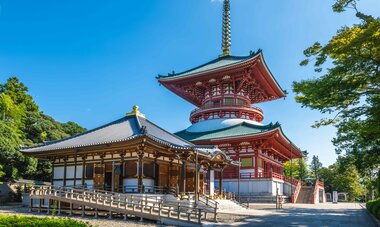Naritasan Shinshoji - Narita, Chiba