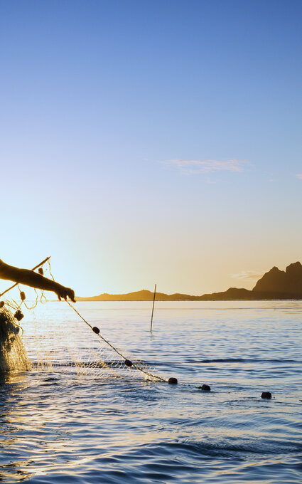 homme qui fait de la pêche au filet 